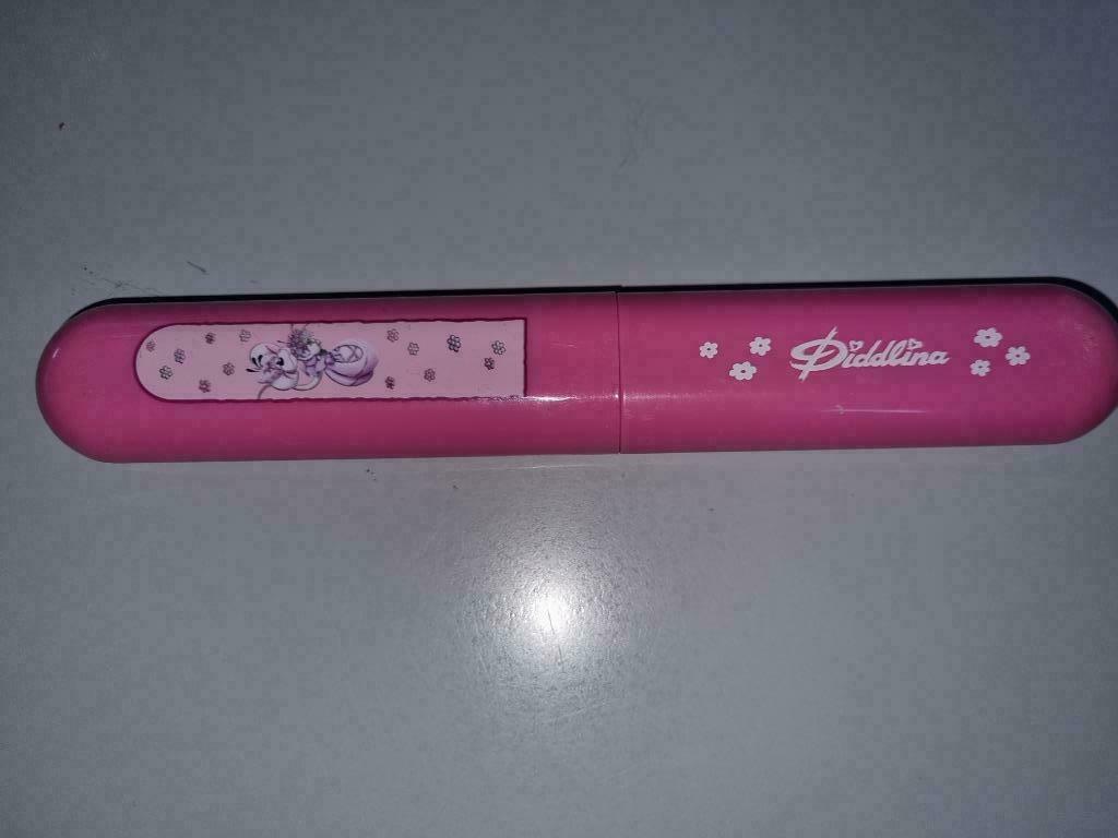 Range brosse à dent DIDDLINA, Bijoux, Sacs & Beauté, Beauté | Soins de la bouche, Enlèvement ou Envoi, Neuf, Autres types