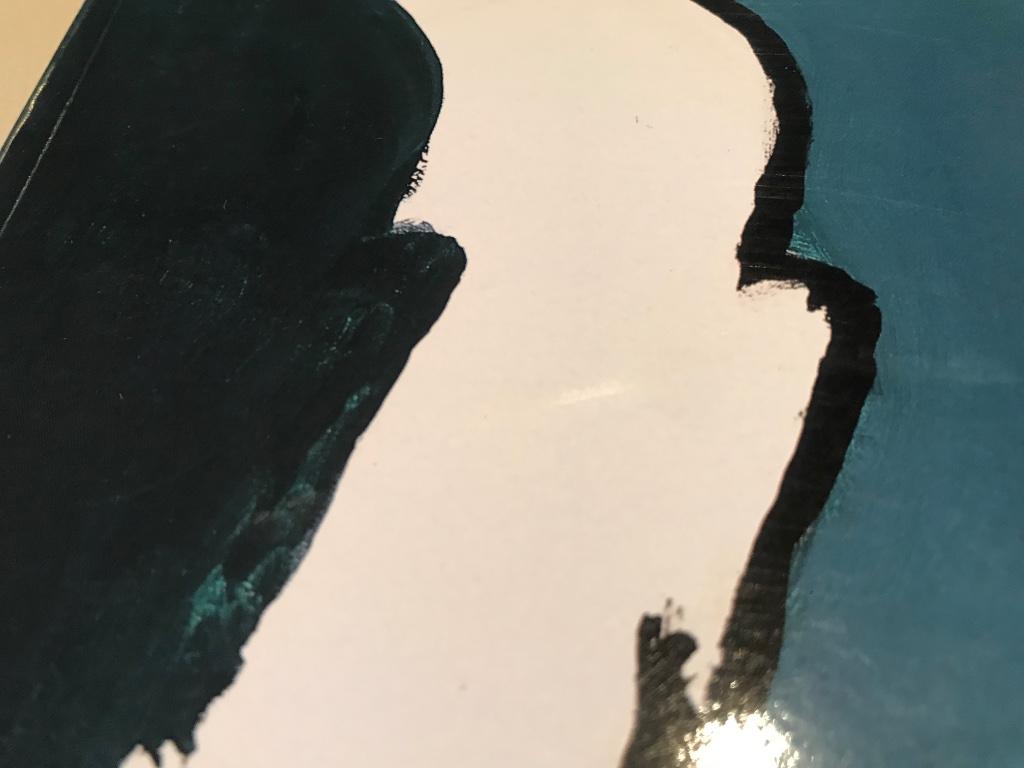 Roger Raveel schilderijen 160pag, Boeken, Ophalen of Verzenden, Zo goed als nieuw, Schilder- en Tekenkunst