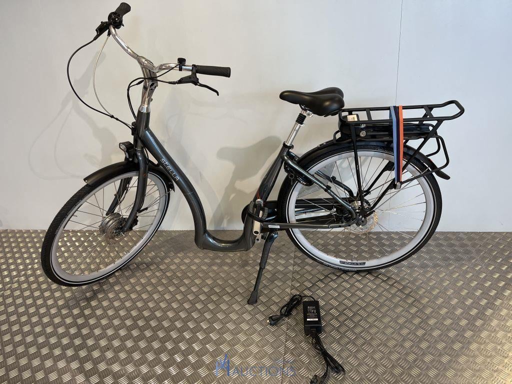 Elektrische fiets lage instap (nieuw), Fietsen en Brommers, Ophalen, Nieuw