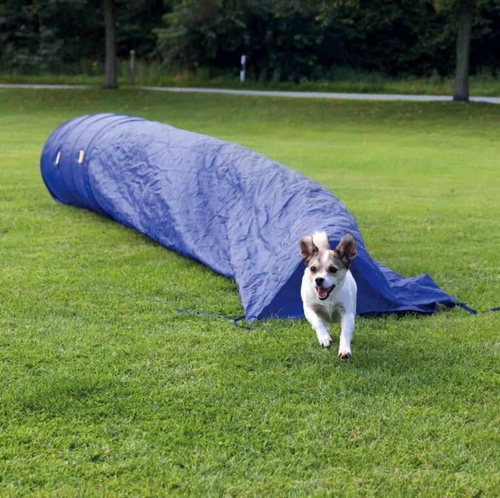 Chiens de dressage Agility Pocket Tunnel pour chiens de spor, Animaux & Accessoires, Accessoires pour chiens, Neuf, Enlèvement ou Envoi