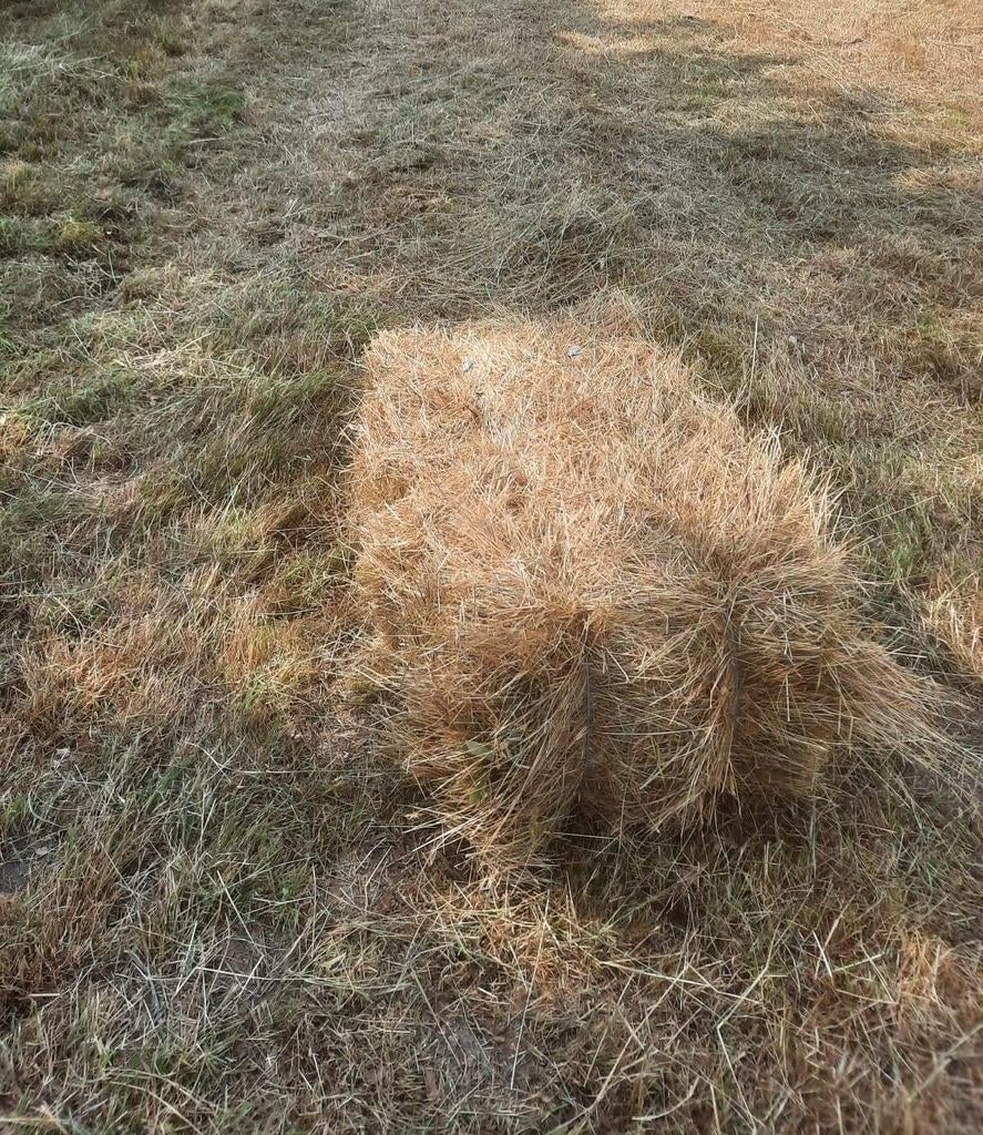 Hooi, Zakelijke goederen, Landbouw | Veevoer, Ophalen of Verzenden