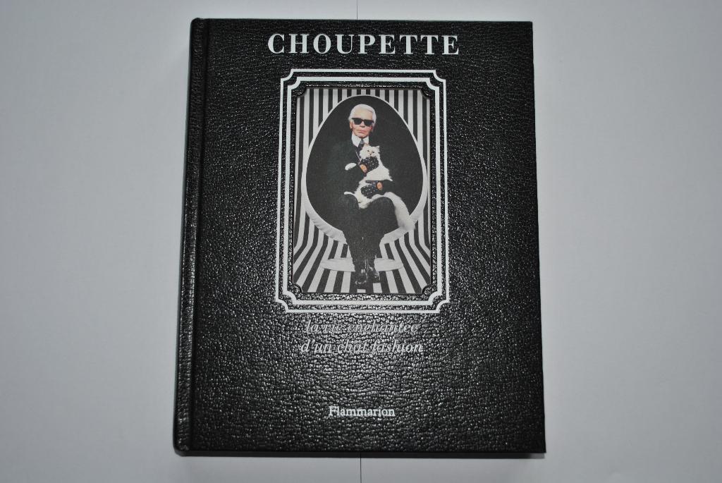 Karl Lagerfeld Choupette la vie enchantée d'un chat fashion, Ophalen of Verzenden, Karl Lagerfeld, Gelezen, Fotografen
