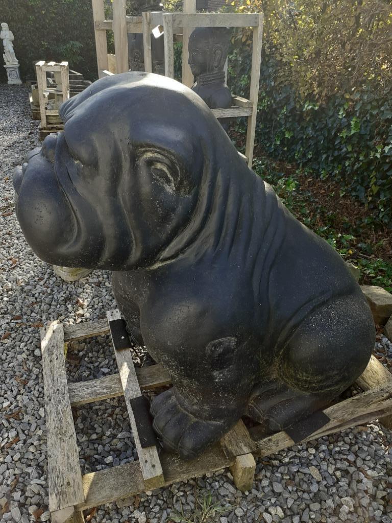 Groot gepatineerd stenen beeld (de bulldog), Tuin en Terras, Ophalen, Nieuw, Overige materialen, Dierenbeeld