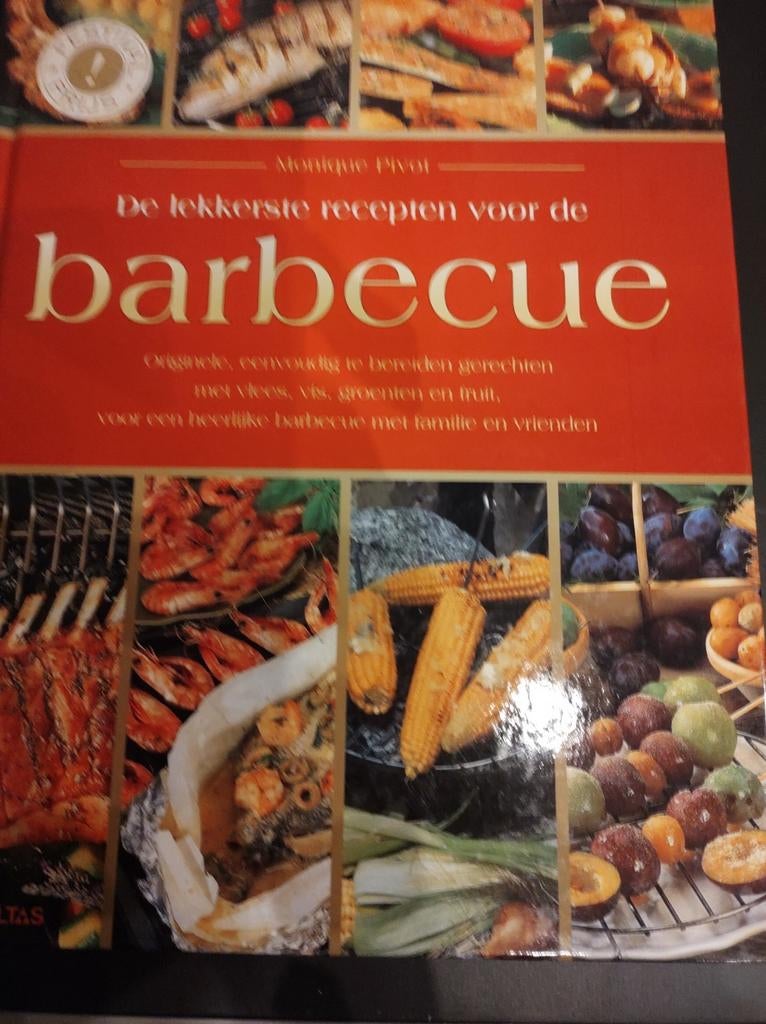 De lekkerste gerechten voor de barbecue, perfecte staat, Ophalen of Verzenden