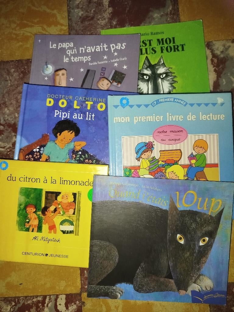 Livre enfant, Livres, Garçon ou Fille, Enlèvement ou Envoi, Comme neuf, Livre de lecture
