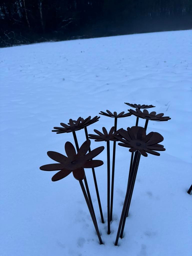 Fleurs en acier Corten, Enlèvement, Neuf