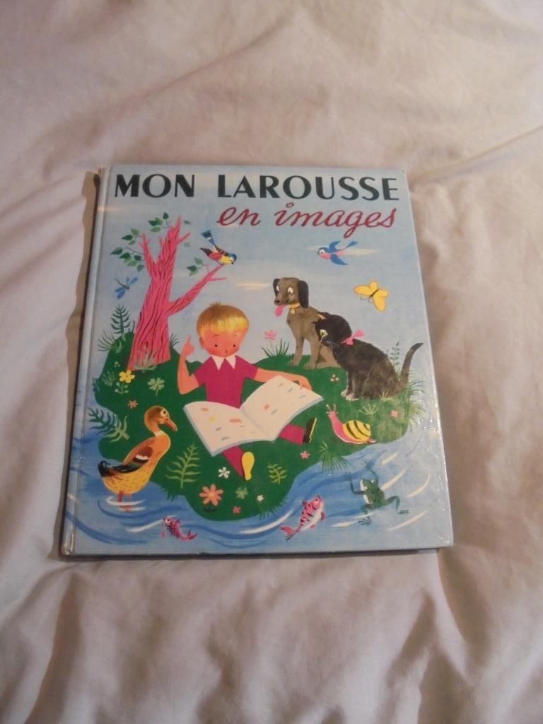 Mon Larousse en images, Antiquités & Art, Enlèvement, Larousse