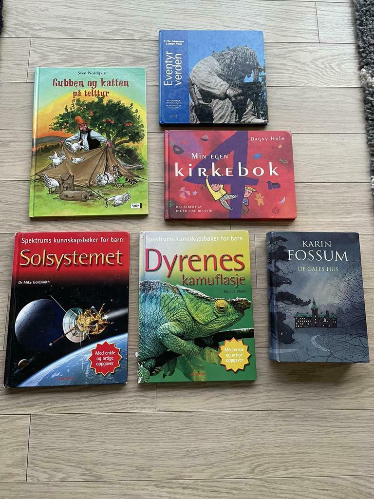 Verschillende boeken in het Noors, Boeken, Ophalen of Verzenden, Zo goed als nieuw