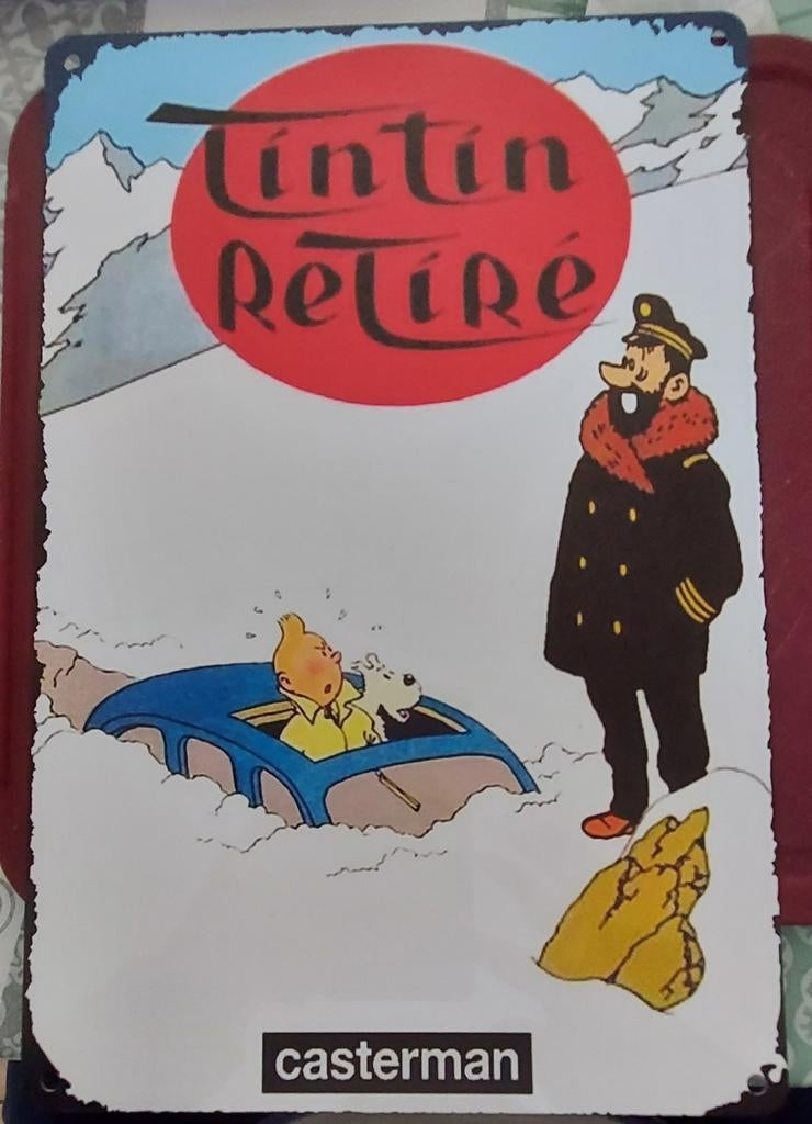Plaque tintin 20cm sur 30cm, Collections, Tintin, Comme neuf