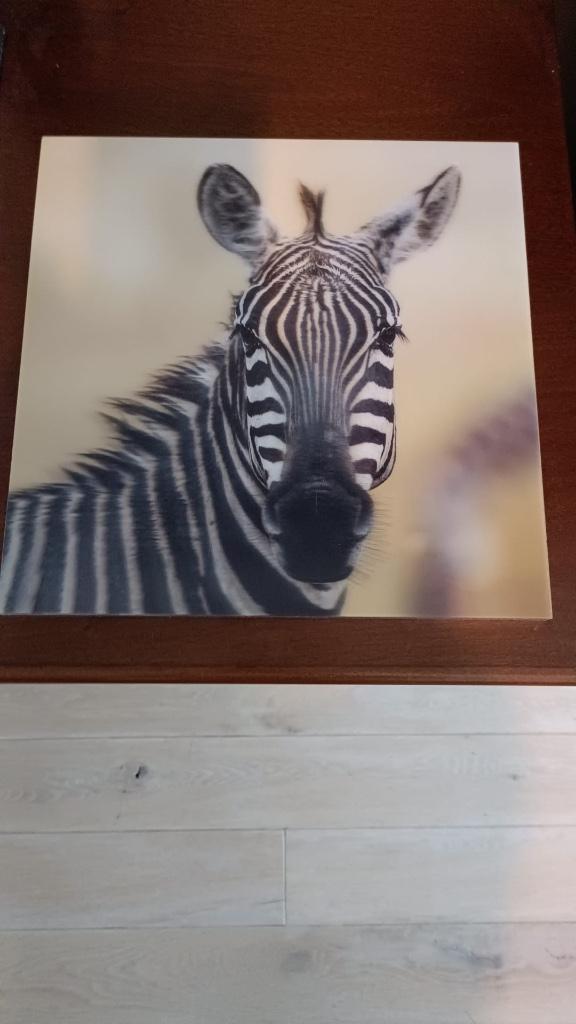 3D Kader zebra, Ophalen