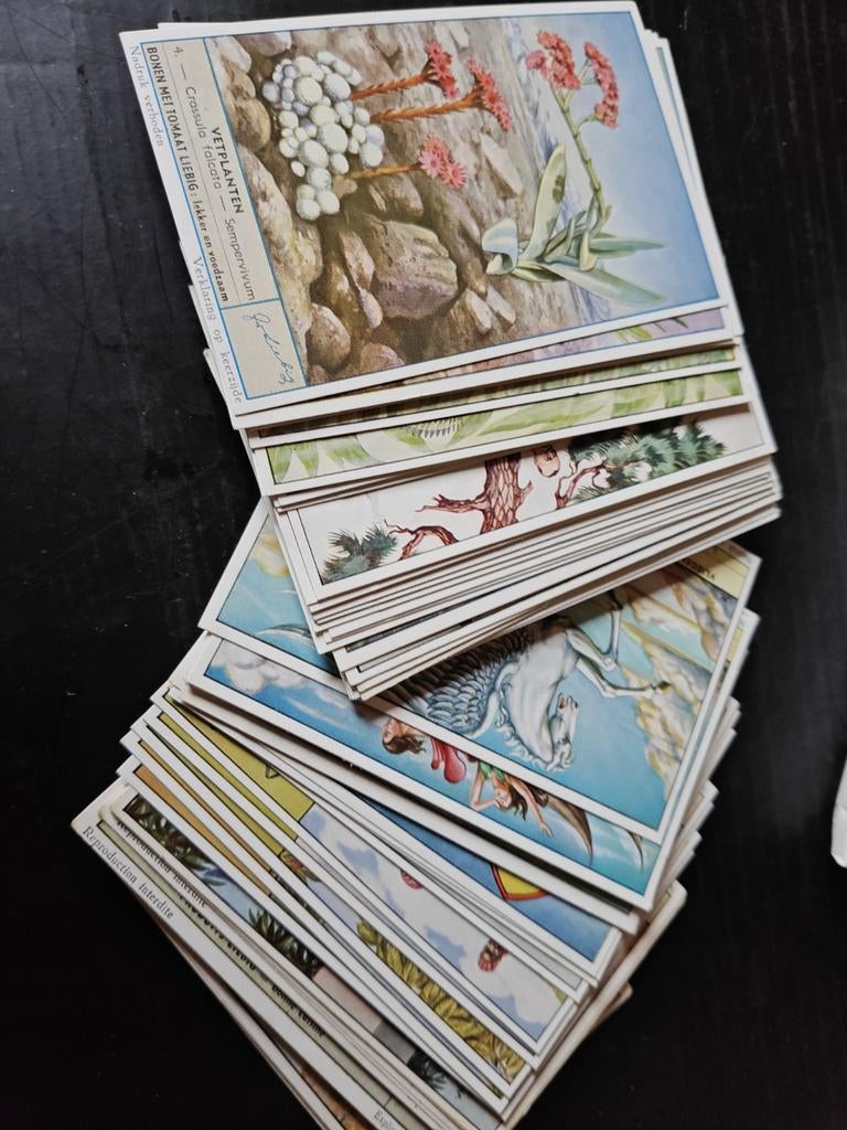 Liebig Chromo's (FR / NL), Verzamelen, Verzenden, Zo goed als nieuw, Overige onderwerpen, Prent