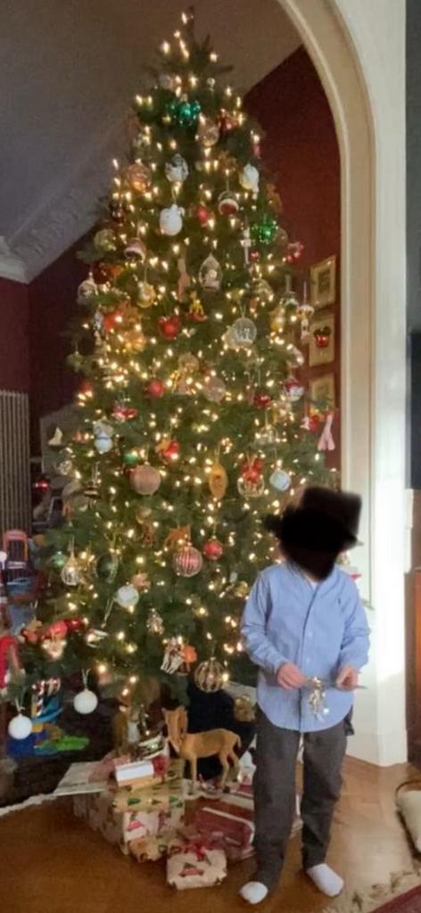 Kerstboom 🎄305cm🎄 superieur merk Black Box, Divers, Noël, Utilisé, Enlèvement