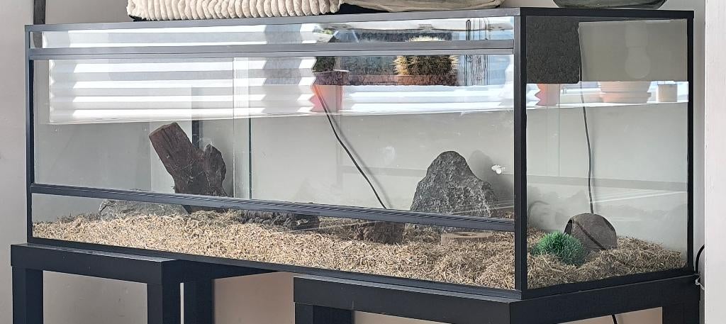 Terrarium, Dieren en Toebehoren, Ophalen, Gebruikt