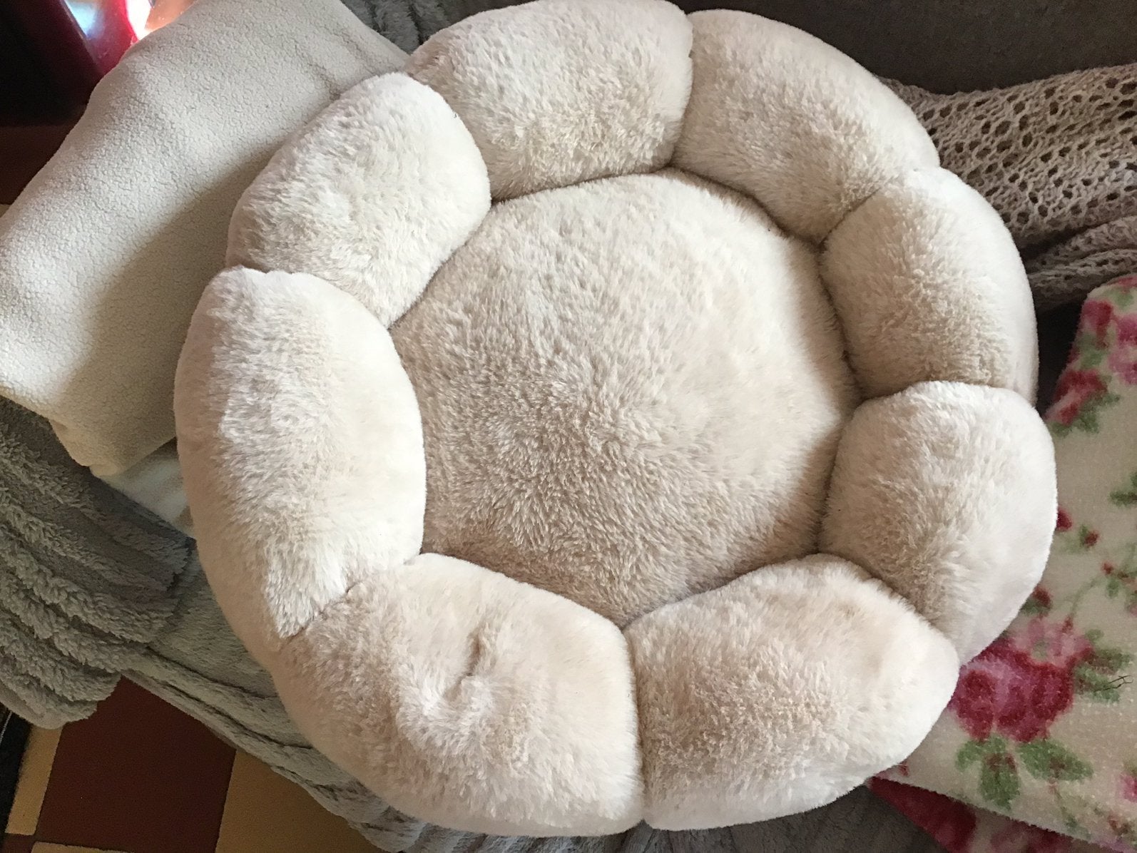 Paniers petits chiens ou chats neufs ! Pas servis !, Enlèvement, Comme neuf