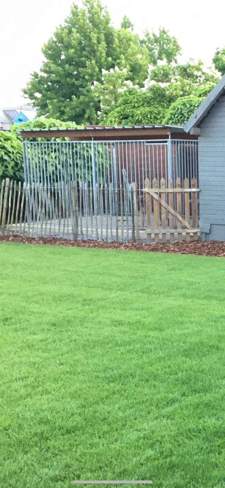 Honden ren panelen, Animaux & Accessoires, Maisons pour chiens, Enlèvement, Utilisé, 100 cm ou plus, Chenil chien