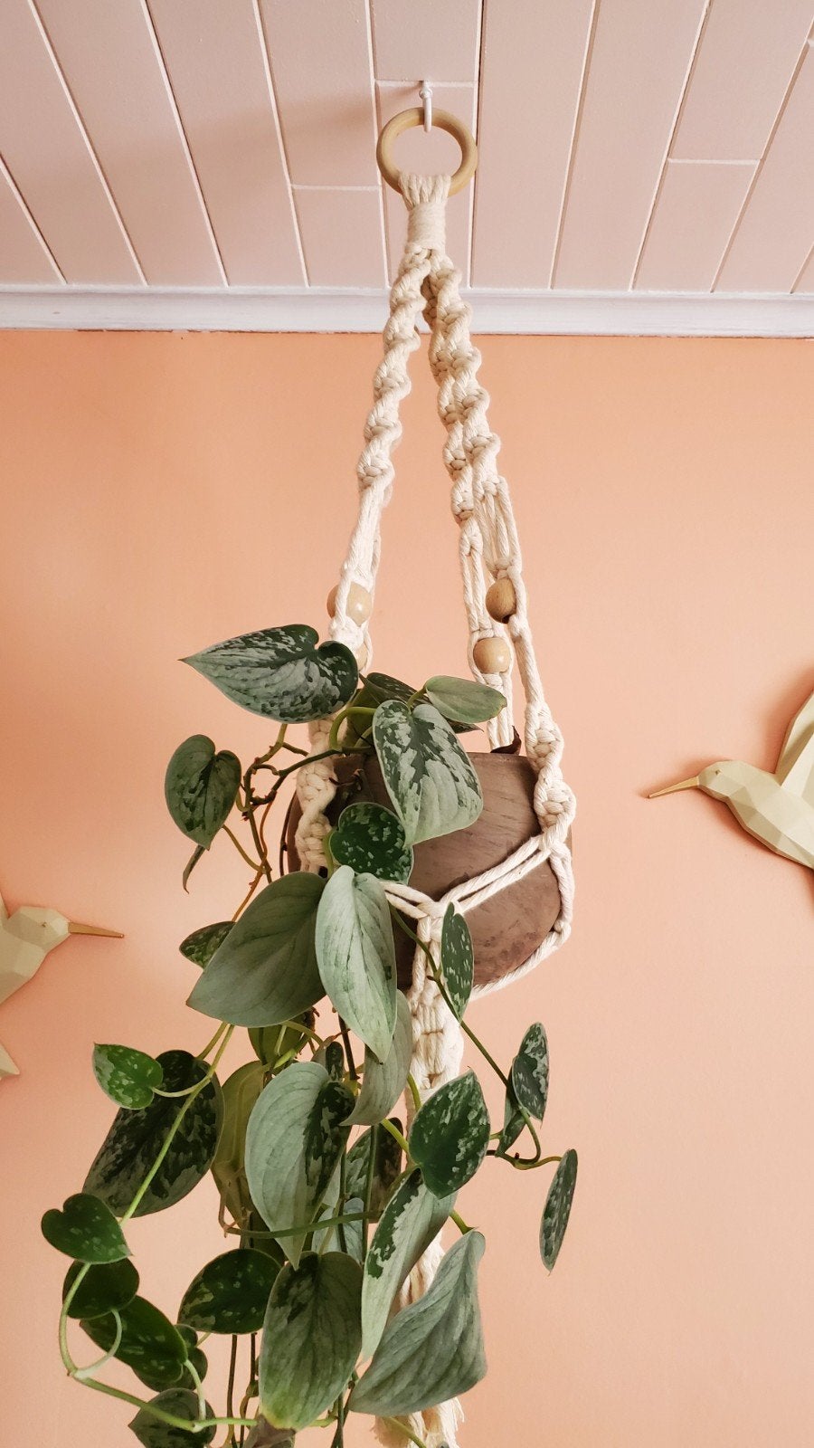 suspension en macramé avec plante