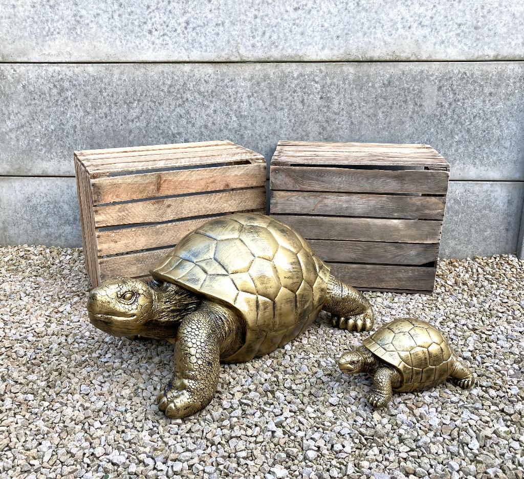 Tuinbeeld schildpad groot / klein model WEG = WEG, Enlèvement, Neuf, Autres matériaux, Animal