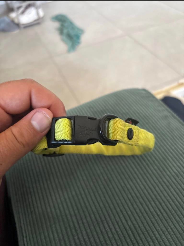 Halsbandje hond, Dieren en Toebehoren, Ophalen, Nieuw