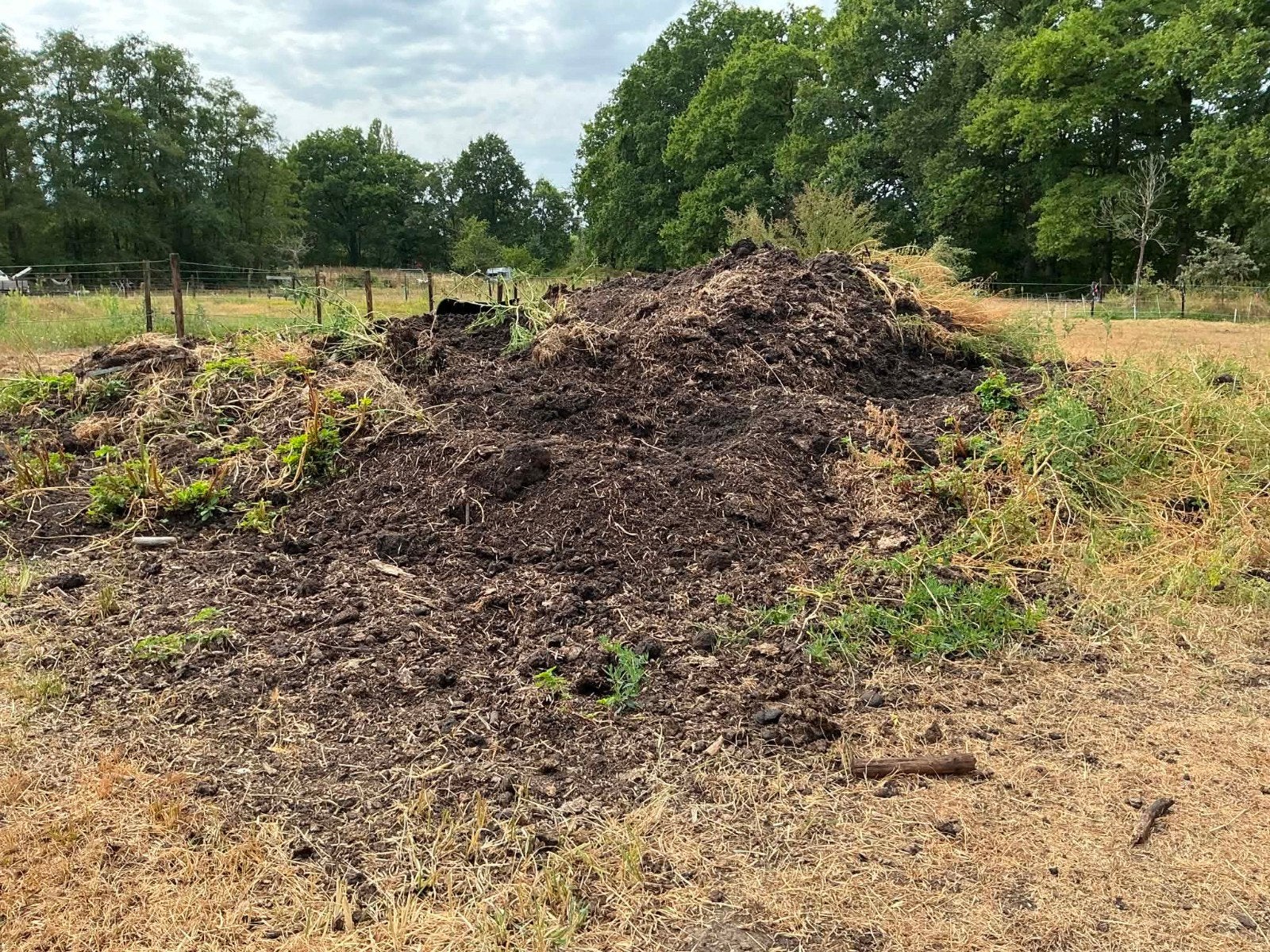 Gratis paardenmest – grote hoeveelheid – regio Heusden-Zolde, Tuin en Terras, Aarde en Mest, Ophalen