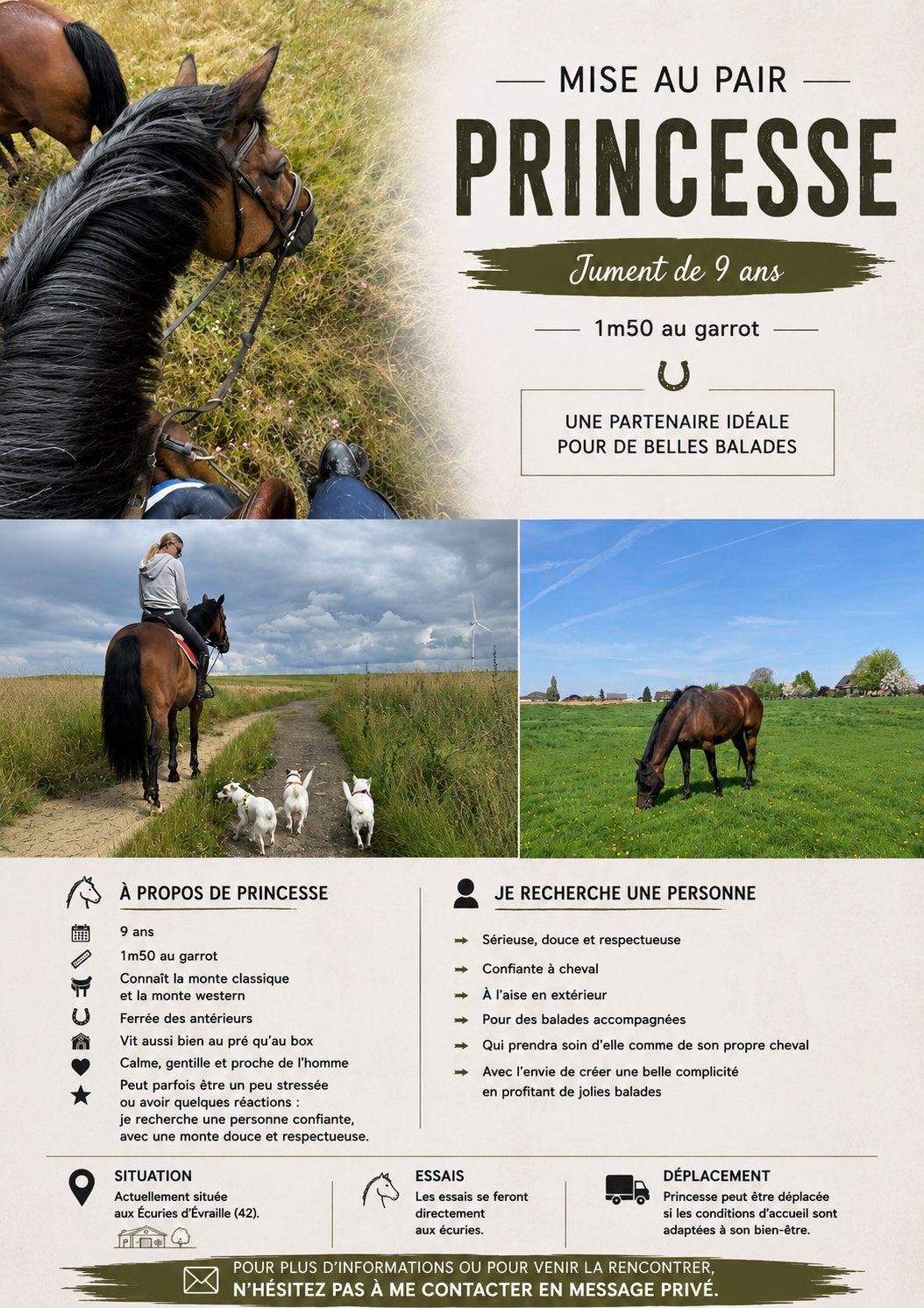 Cheval, Animaux & Accessoires, Chevaux & Poneys | Autres trucs de cheval, Enlèvement ou Envoi