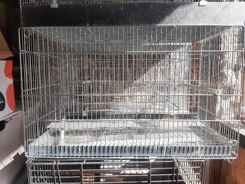 cage elevage, Animaux & Accessoires, Oiseaux | Cages & Volières, Enlèvement, Utilisé, Cage d'élevage