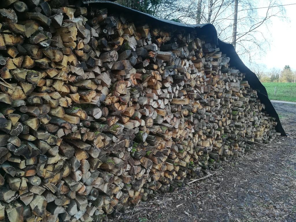 Bois de chauffage, Ophalen, Beukenhout, Blokken
