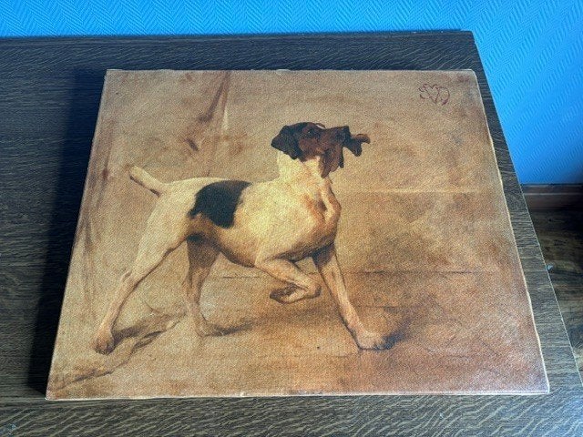 peinture sur toile, Enlèvement, Utilisé, 50 à 75 cm, Peinture