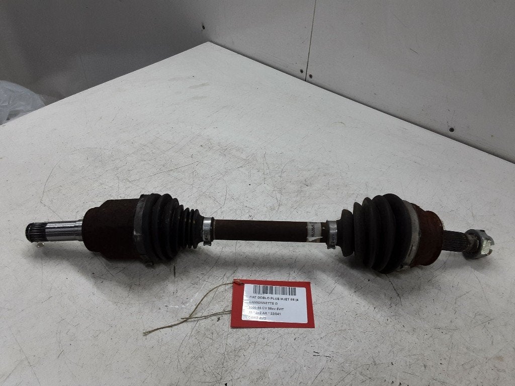 AANDRIJFAS LINKS VOOR Fiat Doblo Cargo (263) (52027047), Gebruikt, Mevr. I. Hauben, Fiat, Rue de l'Espoir 34 34
4030  GRIVEGNÉE, BE