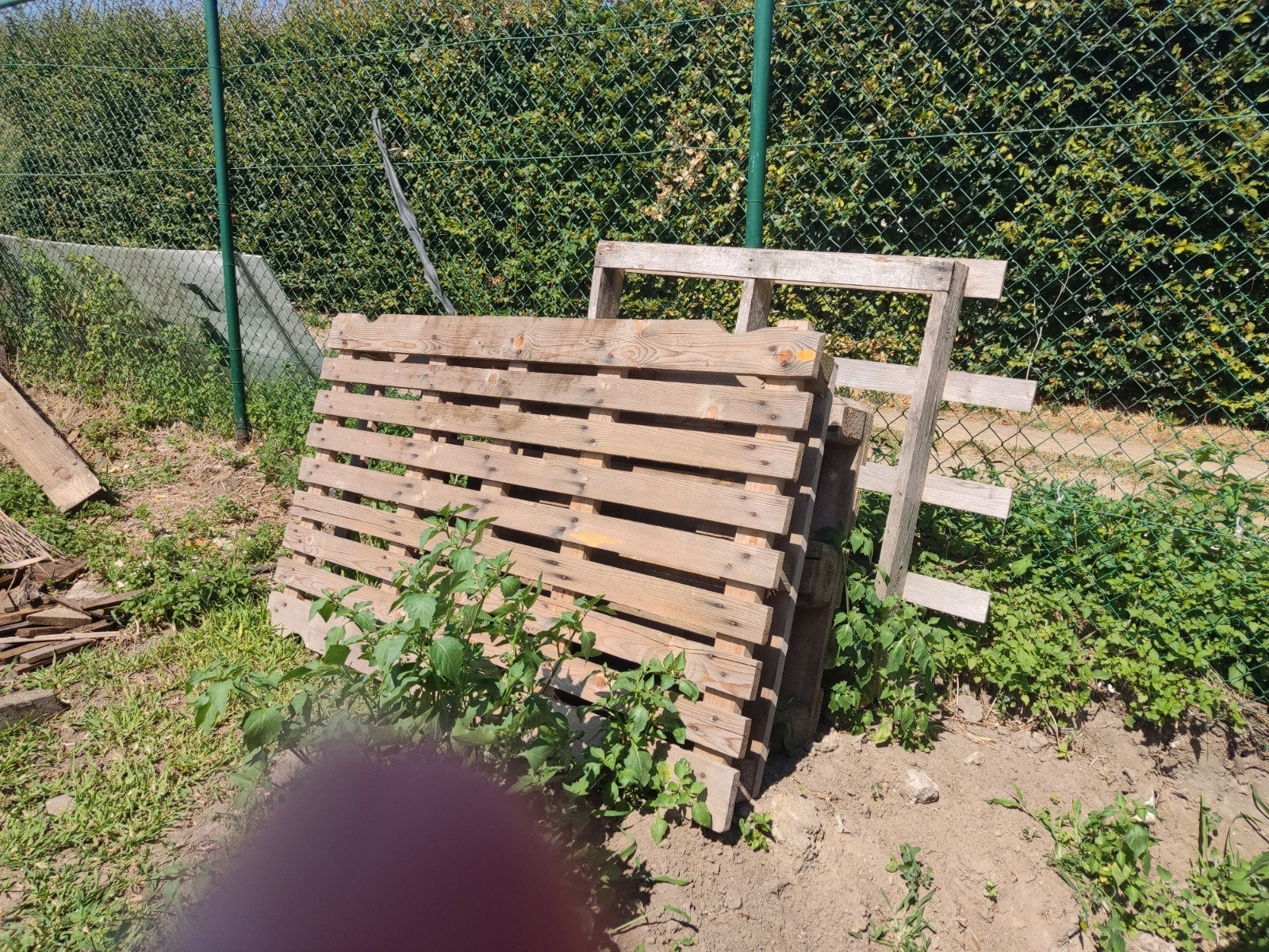 gratis paletten, Ophalen