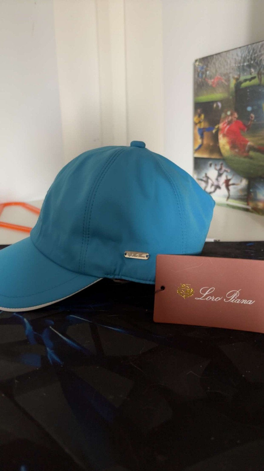 Loro Piana Pet, Ophalen, Nieuw, One size fits all, Pet