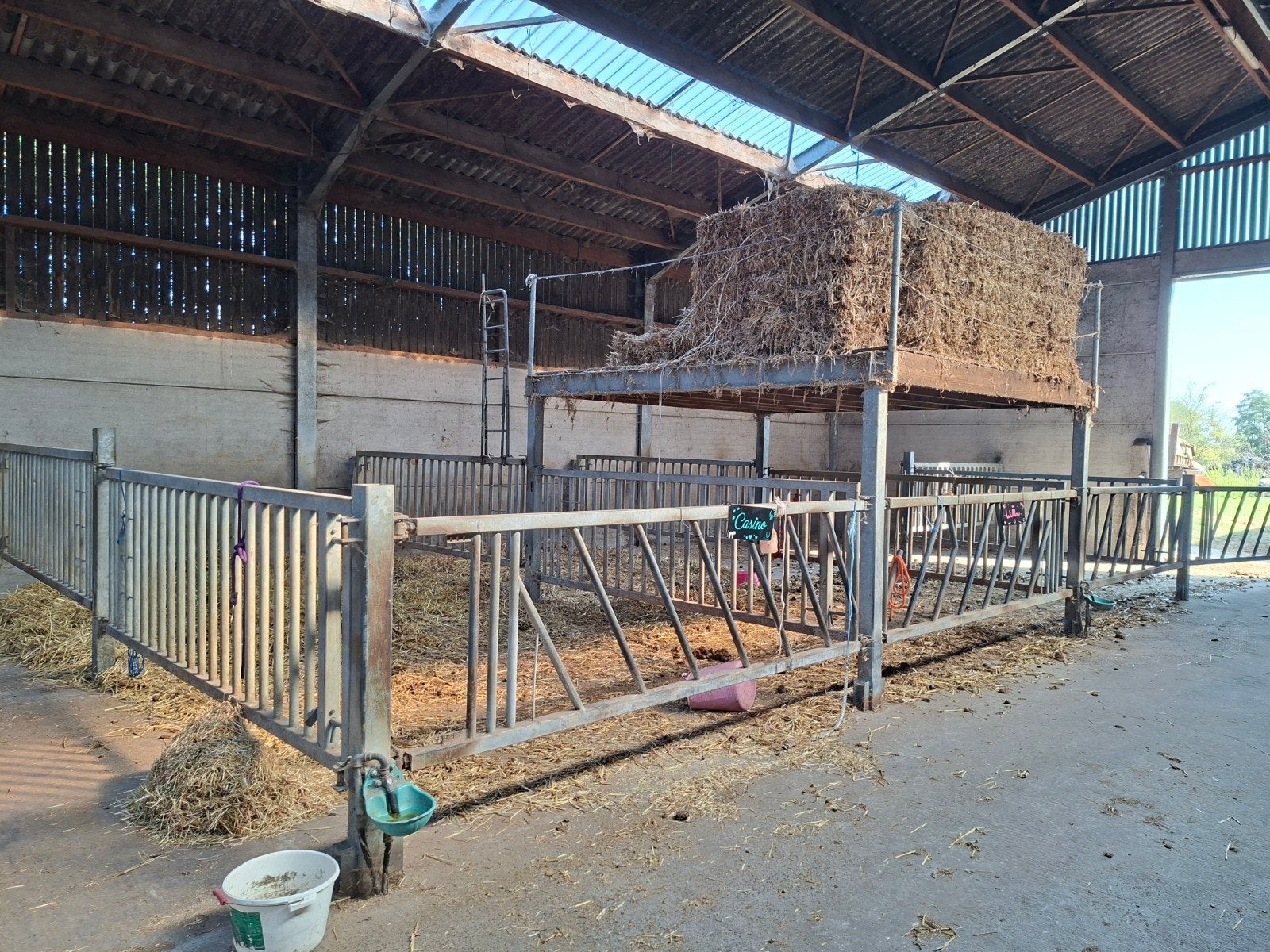 stal inrichting runderen (7 dubbele boxen)