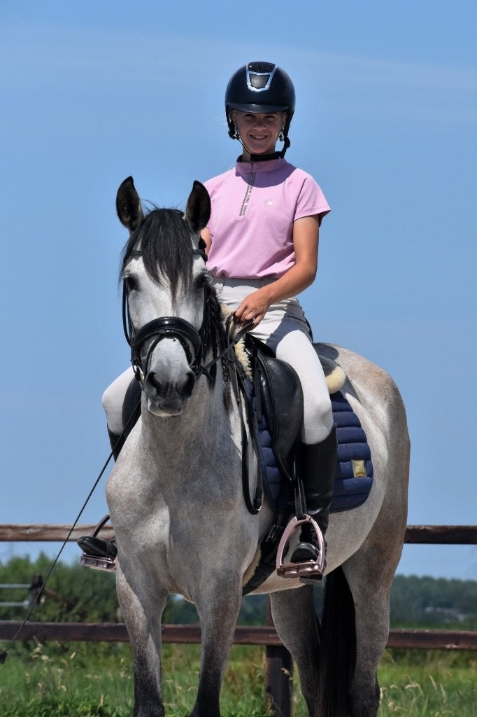 ## TOP MAKKE en hele brave PRE merrie ##, Dieren en Toebehoren, Paarden, Merrie, 160 tot 165 cm, Met stamboom, 3 tot 6 jaar