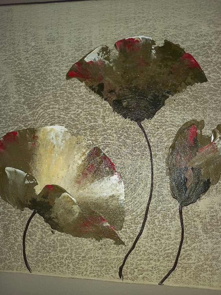 lot de 2 cadres coquelicots, 30 cm, Multicolore, Autres types, Utilisé