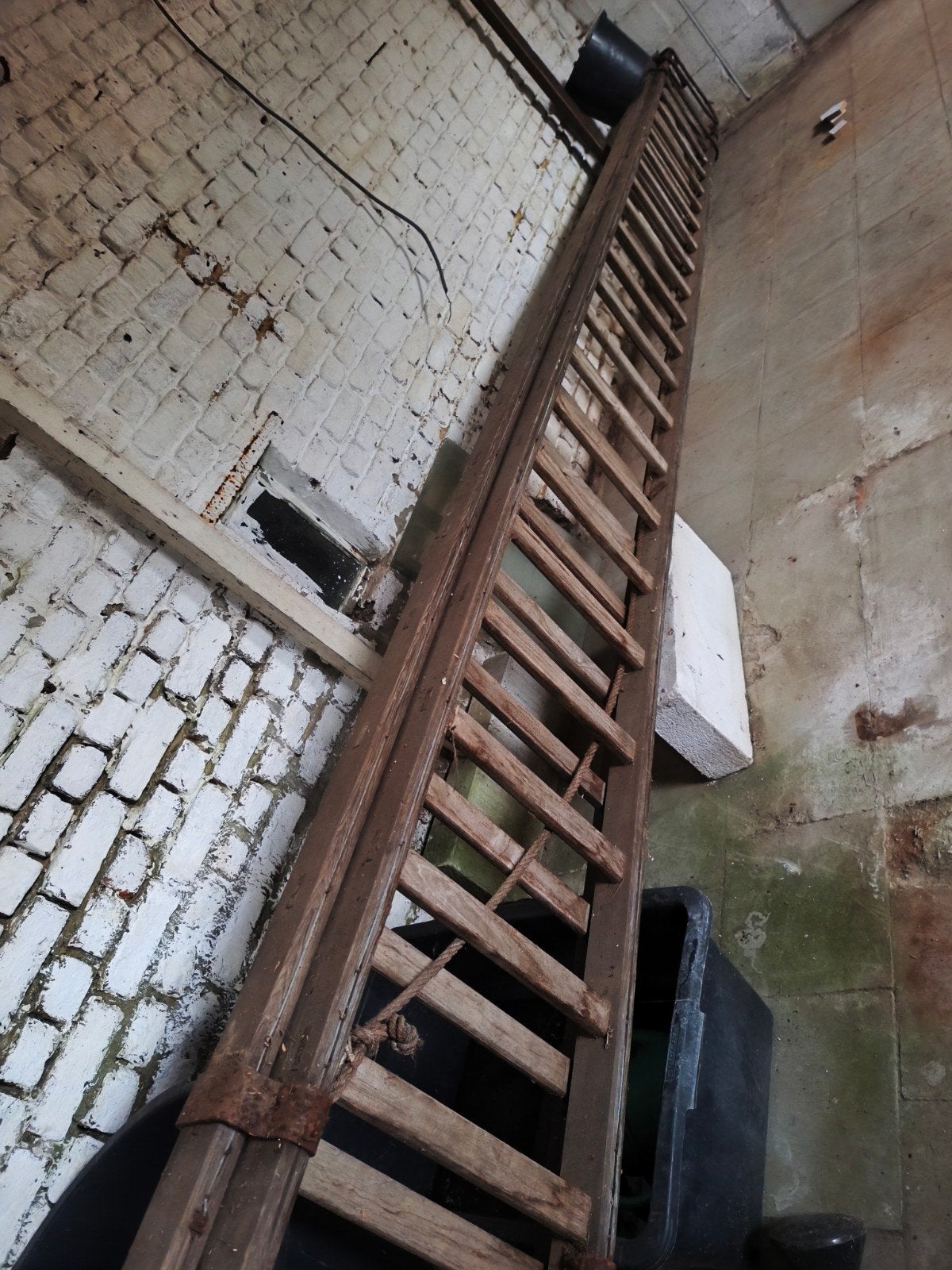 Échelle coulissante en bois de 10 mètres (échelle à l'étage), Enlèvement, Échelle, Pliable ou rétractable/escamotable, 4 mètres ou plus