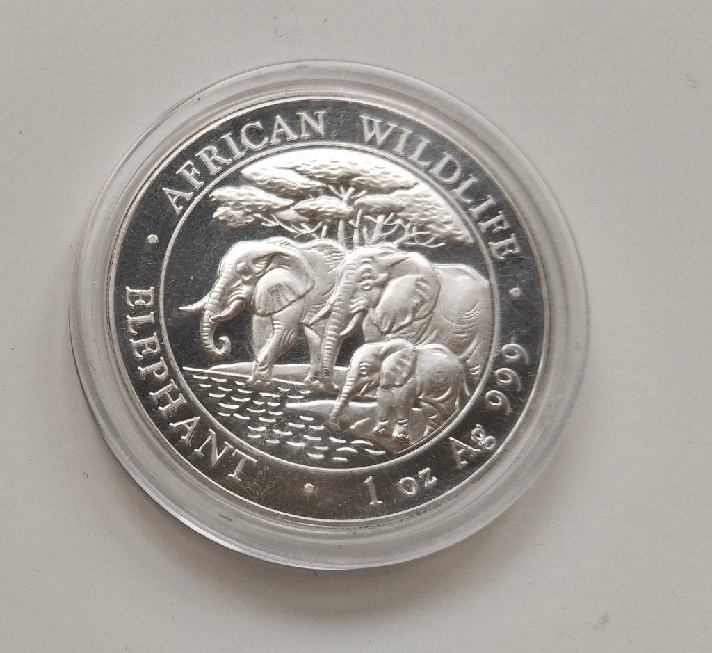 ÉLÉPHANT Wildlife Somalien 1 oz argent 2013 Proof  capsule, Timbres & Monnaies, Monnaies | Afrique, Envoi, Autres pays, Série