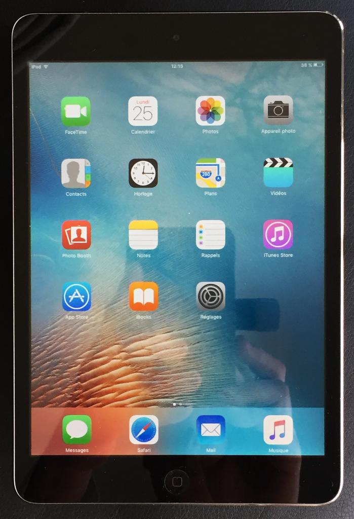 Ipad mini 1 WiFi 16 GB onberispelijke staat  cable + oplader, Computers en Software, Apple iPads, Zo goed als nieuw, Apple iPad Mini