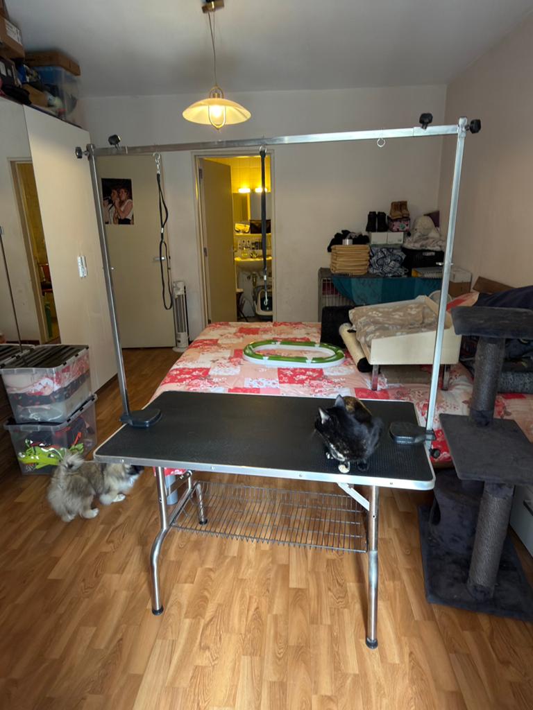 Trimtafel hond, Dieren en Toebehoren, Ophalen, Gebruikt