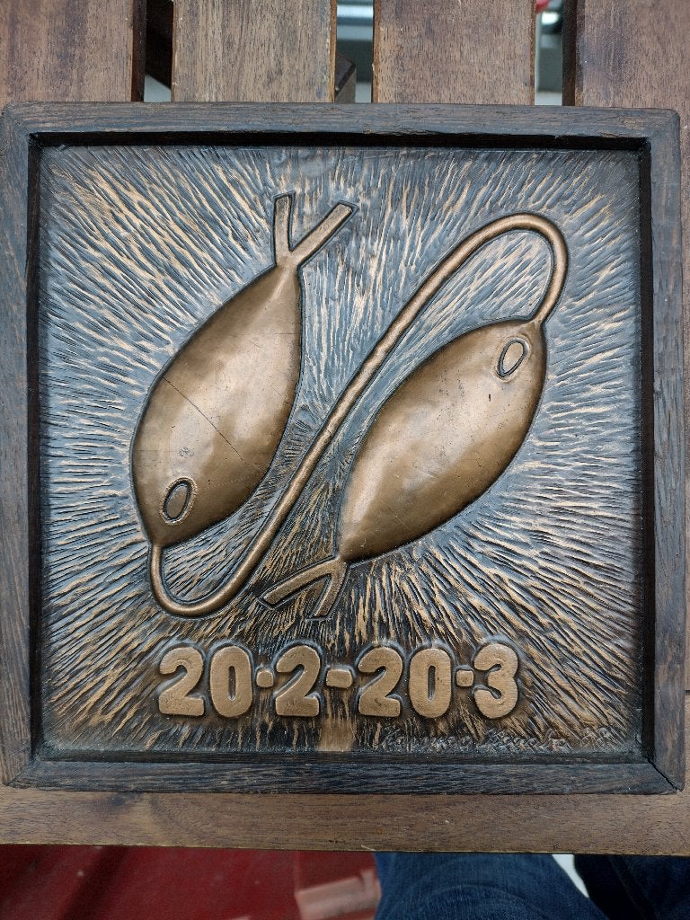 sterrenbeeld vis, Ophalen of Verzenden