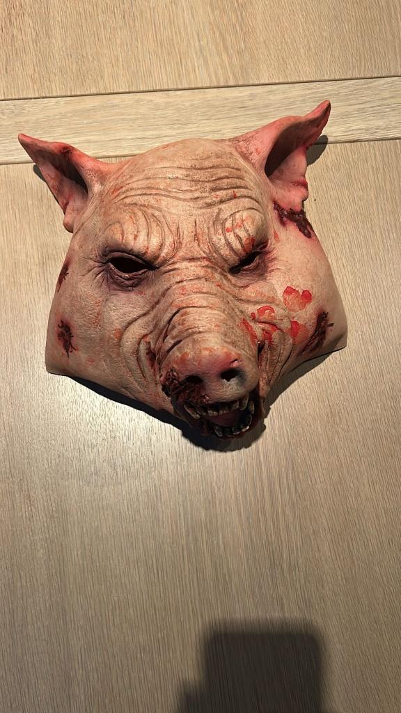 Carnaval - Halloween en Horror maskers, Ophalen of Verzenden, Nieuw, Feestartikel