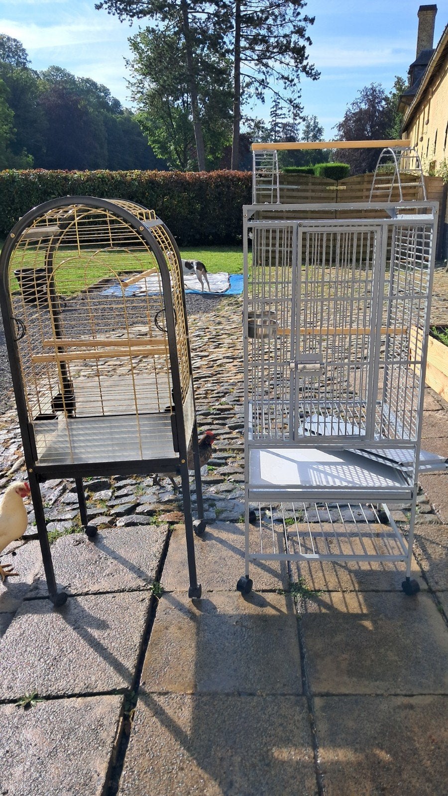 Cage perruches perroquets, Animaux & Accessoires, Oiseaux | Cages & Volières, Enlèvement
