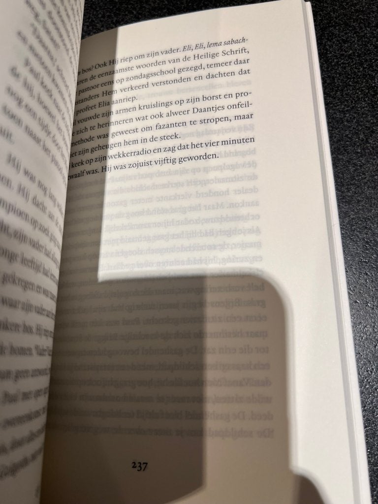 De heilige Rita - Tommy Wieringa, Boeken, Tommy Wieringa, Ophalen of Verzenden, Zo goed als nieuw, Nederland