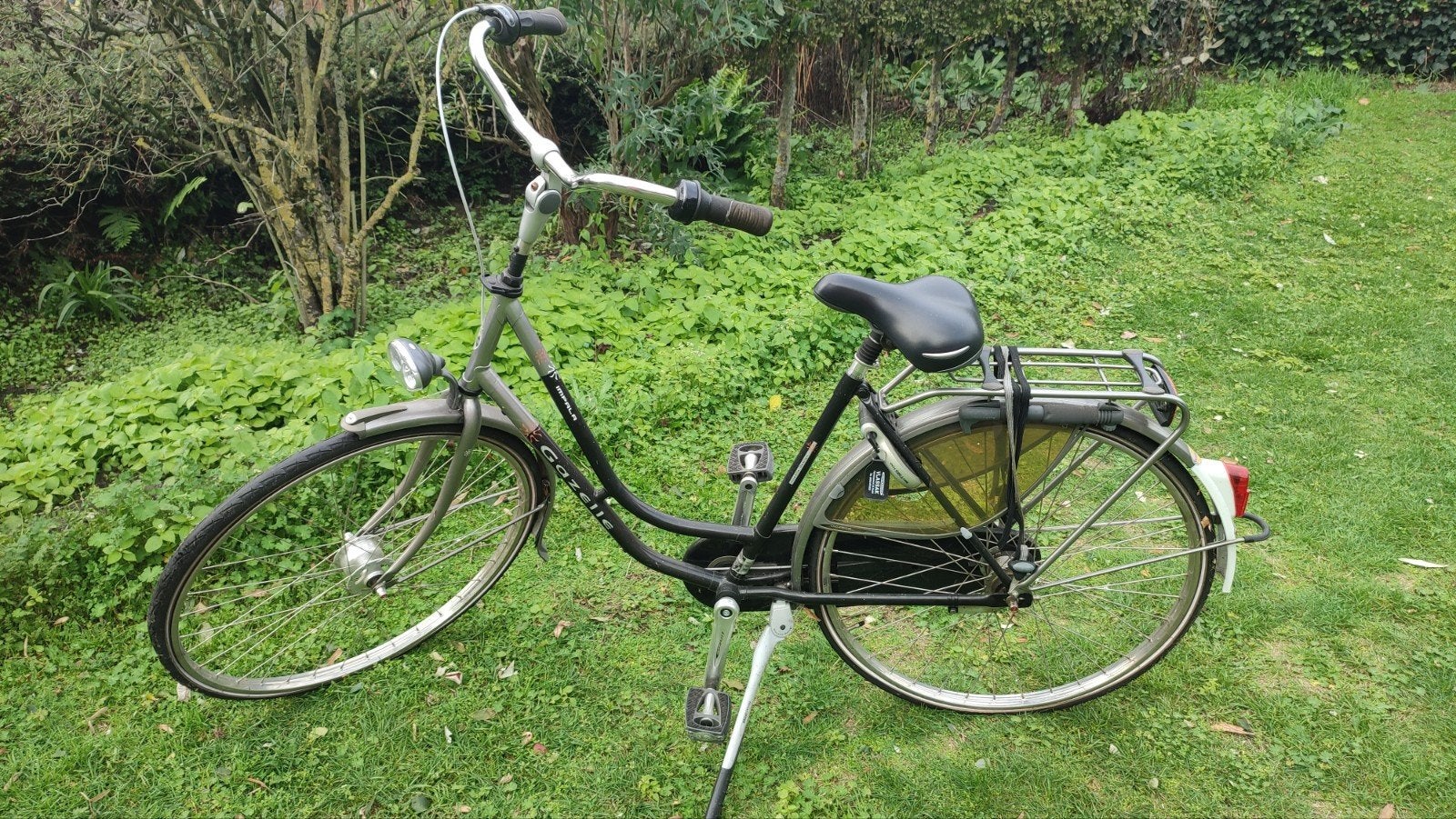 Gazelle Impala, Enlèvement