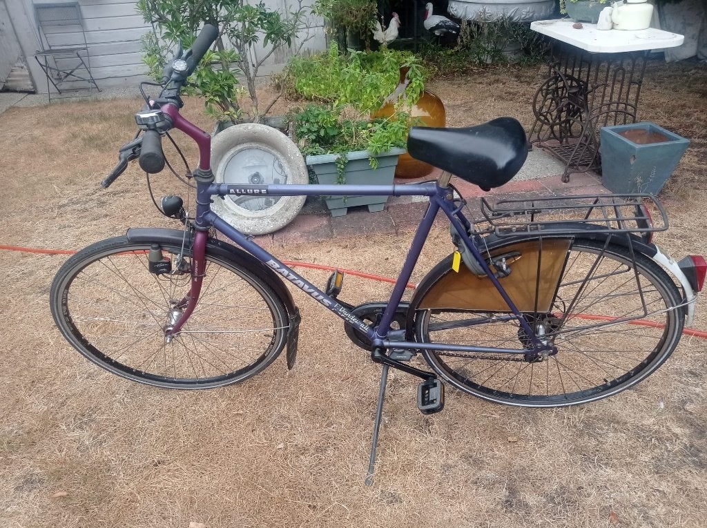 Batavus Fiets, Vélos & Vélomoteurs, Enlèvement, Utilisé, Batavus