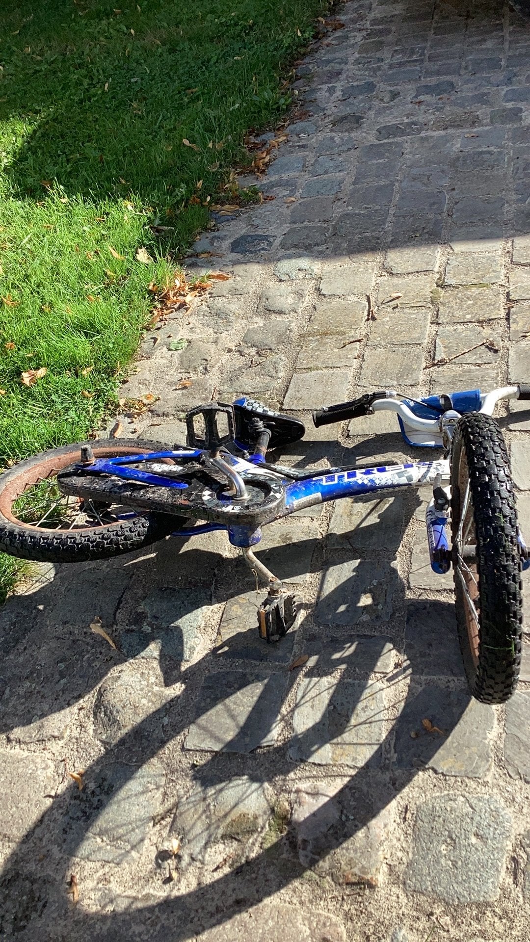 Vélo BMX pour enfants, Vélos & Vélomoteurs, Enlèvement, Utilisé, Acier, 16 à 20 pouces
