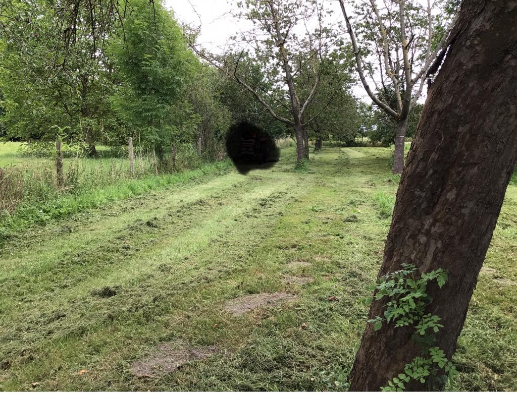 Weide gras gratis komen afmaaien voor hooi, Dieren en Toebehoren, Stalling en Weidegang