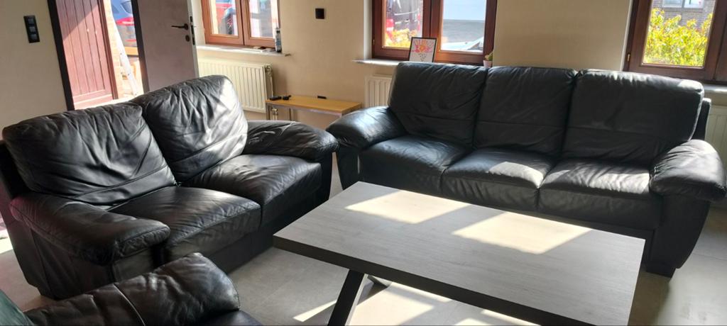 Lederen salon, Huis en Inrichting, Ophalen