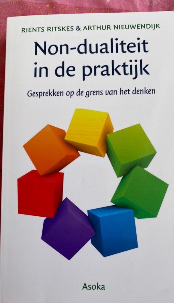 Arthur Nieuwendijk - Non dualiteit in de praktijk., Boeken, Esoterie en Spiritualiteit, Ophalen of Verzenden, Zo goed als nieuw