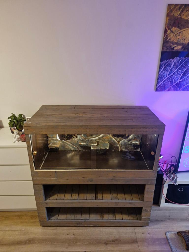 XXL custom Terrarium, Dieren en Toebehoren