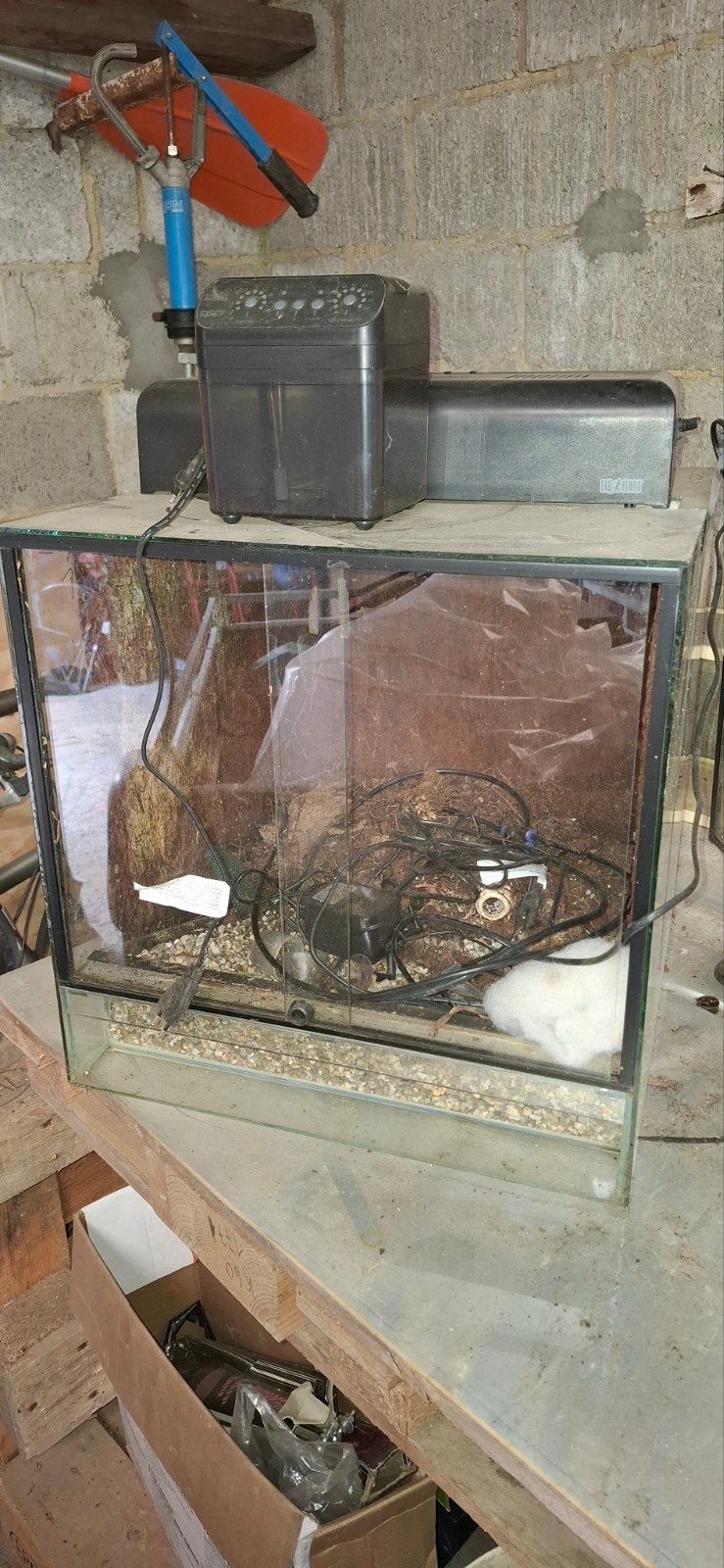 Paludarium 50x50 met lamp en mist installatie, Dieren en Toebehoren, Reptielen en Amfibieën | Toebehoren, Ophalen
