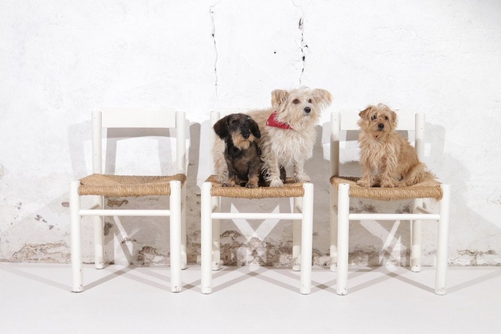 2 witte eetkamerstoelen in Charlotte Perriand-stijl, Ophalen